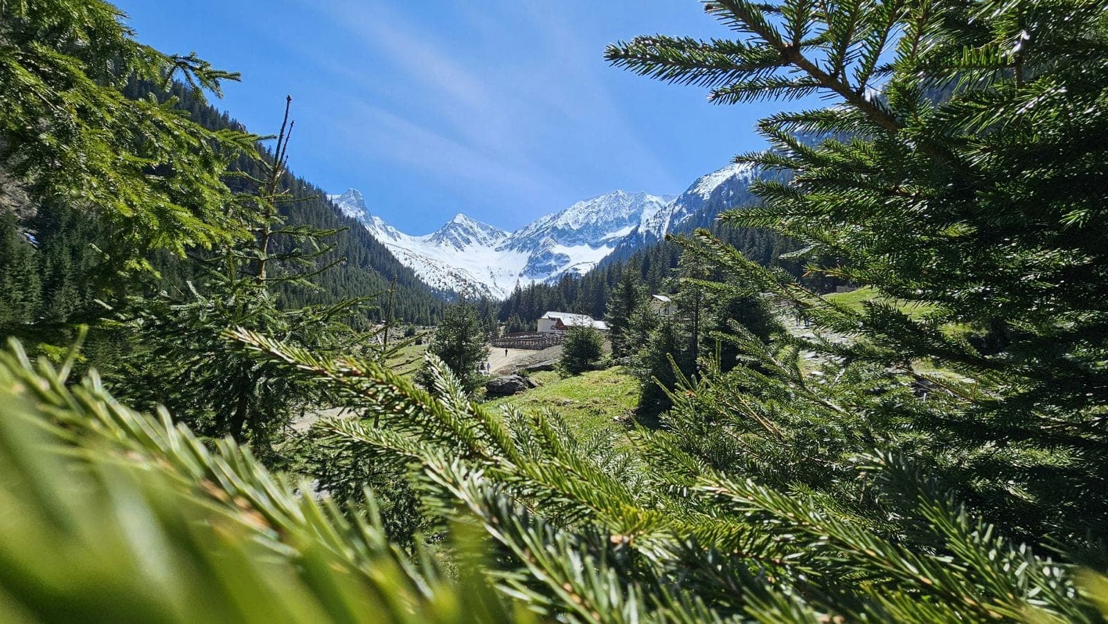 Valea Sâmbetei